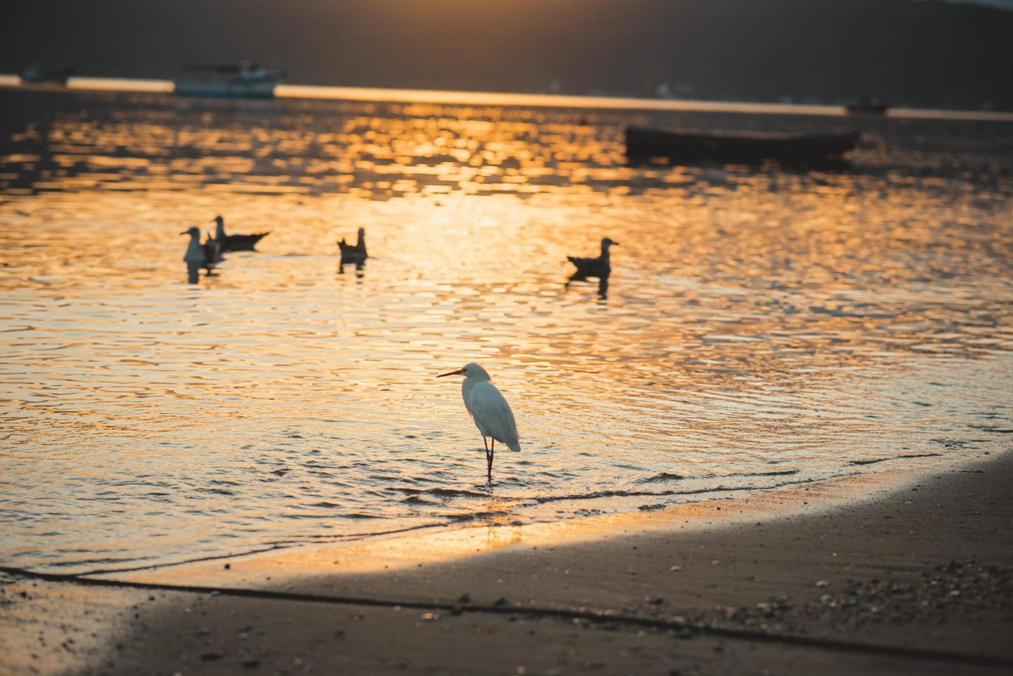 فندق Pousada Canto Do Pescador بومبينهاس المظهر الخارجي الصورة